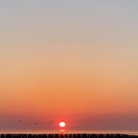Lost My Mind - Single - Xploitts