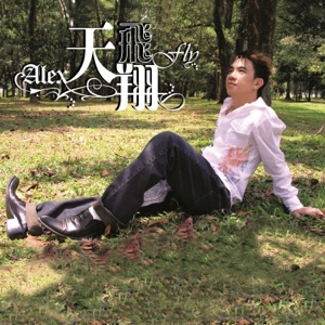 Tian Xiang (天翔) - Wo De Yao Qiu Bing Bu Gao (我的要求並不高) - Line Dance Chorégraphe