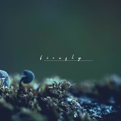 Firefly - Single