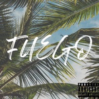 Fuego (She Make My Hips Go) - Single - Matt T & FEE