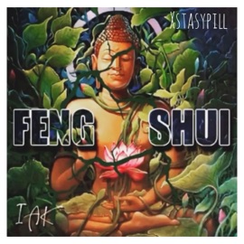 Feng Shui Xstasypill