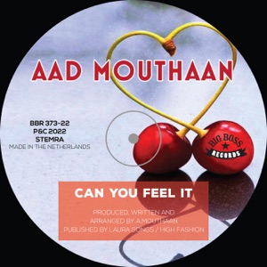 Can You Feel It - Single