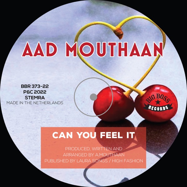 Can You Feel It - Single