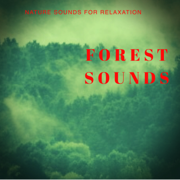 Forest Sounds - Nature Sound Emporium