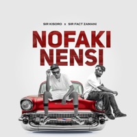 NOFAKI NENSI (feat. Fact Zamani) - Single - hayes willit