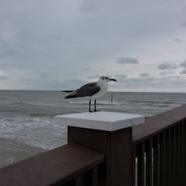 Mirror (feat. JaeDal & Kim Mi Jeong) Onecrane