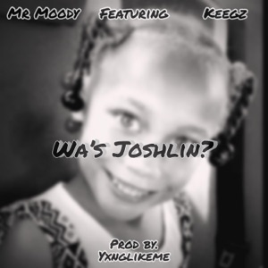 Wa's Joshlin (feat. Mr Moody & Keegz) - Single