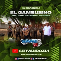 El Gambusino (En vivo) - Single - Los de la Letra