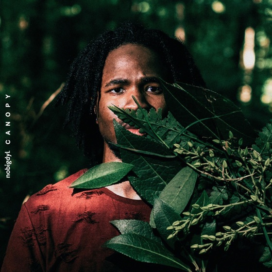 Cover artwork for Tree Tops