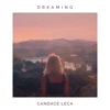 Dreaming