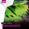 Endurance - Tomas Heredia lyrics