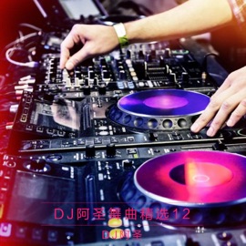 你是我的心头肉(DJ Version) DJ阿圣 & 张航禹