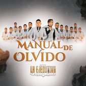 Banda La Ejecutiva De Mazatlán Sinaloa - Manual De Olvido