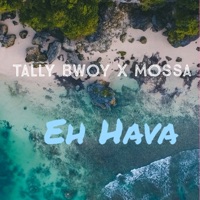 Eh Hava - Single - Tally Bwoy