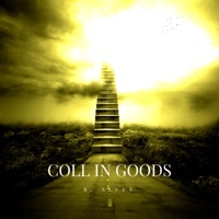 Coll in Goods (Tribute) - Single - B. Alvee