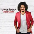 Bahçada Yeşil Çınar