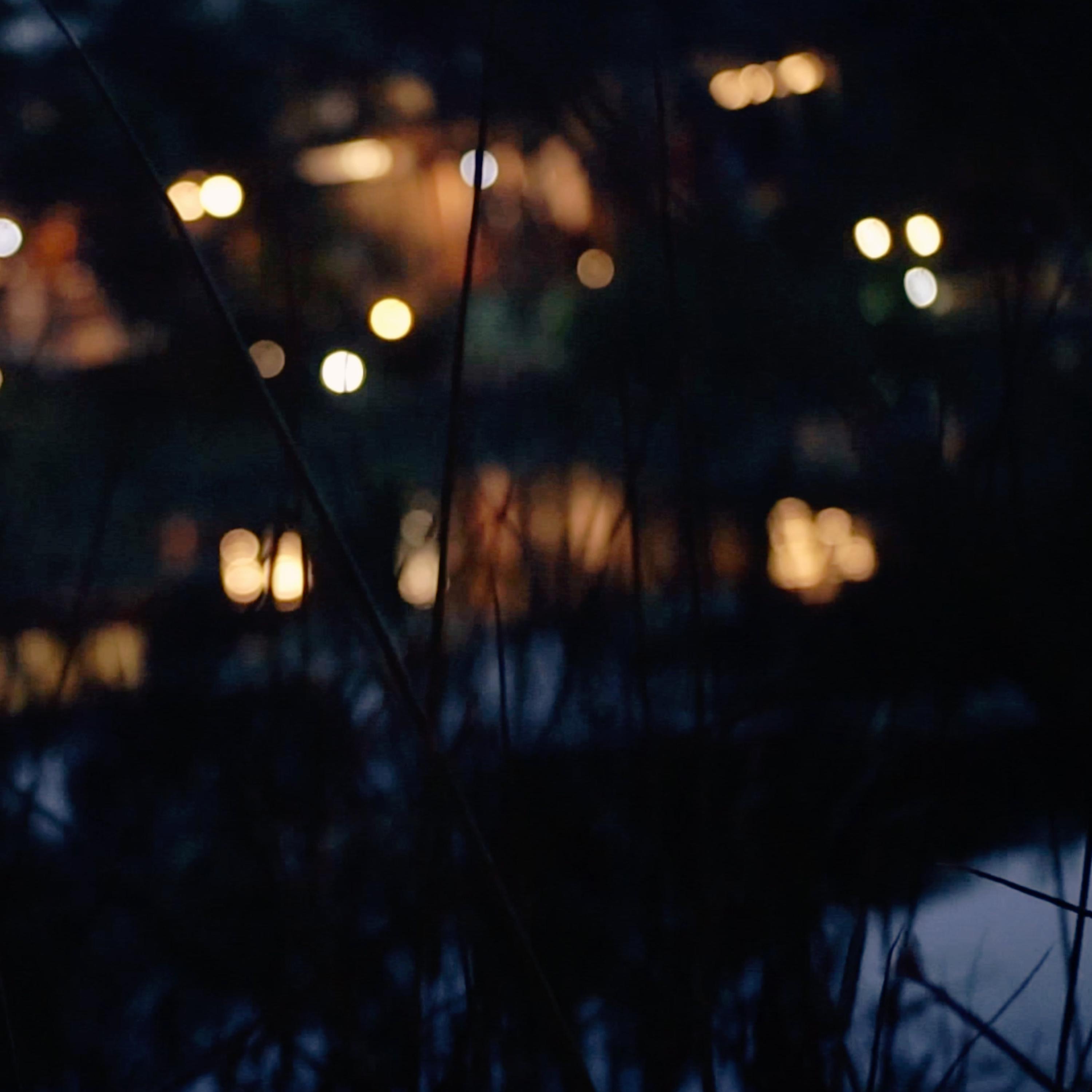 Peninsula Soundscapes - Single