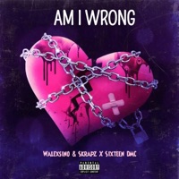 AM I WRONG ? (feat. Skrapper & Sixteen DMC) - Single - Walexsino