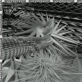 Dont You Want To Become A Cult Leader? ✧BRAINDAAMAGE✧