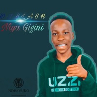 Niya Gigini - Single - Dj Slash Wa Marimba