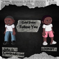 Follow You (feat. John D. Contradiction & LOON3Y) - Single - Gold Stem