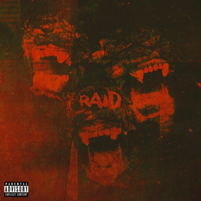 RAID - Single