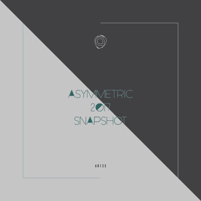 Asymmetric 2017 Snapshot