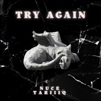 Try Again (feat. Tariiiq) - Single - Nuce