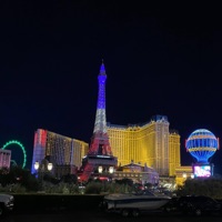 Parallel 2 Paradise - Single - Young Swan