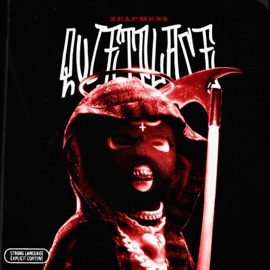 Не тихони (feat. Accidentalius) ZEAPMEN$