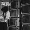 Swearin' - Shrinking Violet