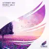 Invisible Walls (Delta IV Remix)
