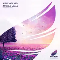 Invisible Walls (Delta IV Remix) — Alternate High