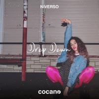 Drop Down - Single - NIVERSO