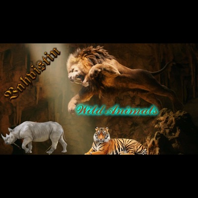 Vahvistin - Lucky Banana (2k17)