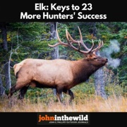 Elk: Keys to 23 More Hunters' Success (Unabridged) - John E. Phillips