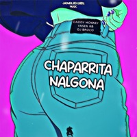 Chaparrita Nalgona (feat. Dj Broco & YASEK RB) - Single - DADDY MONKEY