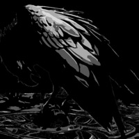 Blacken the Sun (Instrumental) - Blackbird