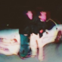 JUST FRIENDS - Single - Porter Ogden