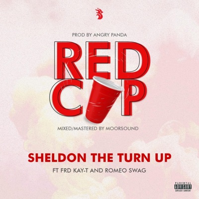 Red Cup (feat. FRD, Kay-T & Romeo Swag) - Single