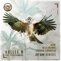 Da'Ana Remixes - Single - Hallex M & Stevo Atambire
