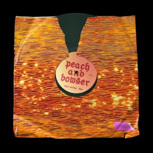 PEACH and BOWSER (feat. Shye) - Single