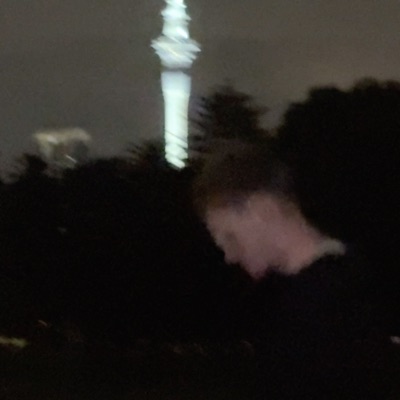 Dontwanna (Lifetime) - Single