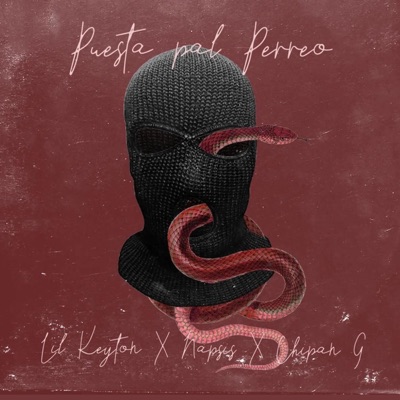 Puesta Pal Perreo (feat. Napsis) - Single