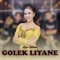 Golek Liyane - Rina Aditama lyrics