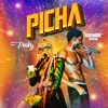 Picha - Single