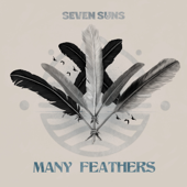 Many Feathers song art