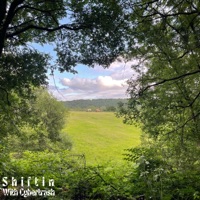 Shiftin (feat. Cybertrash) - Single - Mikeee