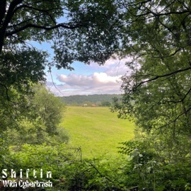 Shiftin (feat. Cybertrash) Mikeee