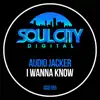 Audio Jacker - I Wanna Know